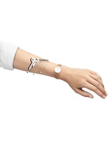 DW00100447_2__1642776405_57