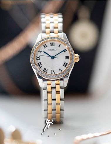 SUR336P1_3__1638886771_592