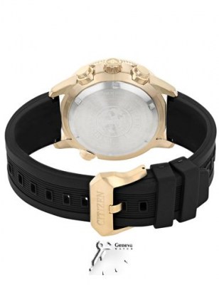 اکودرایو پرومستر بند رابر