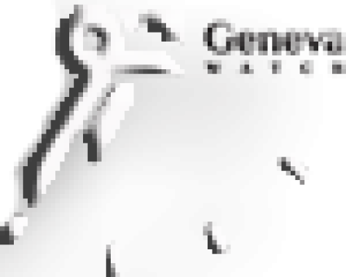 watermark