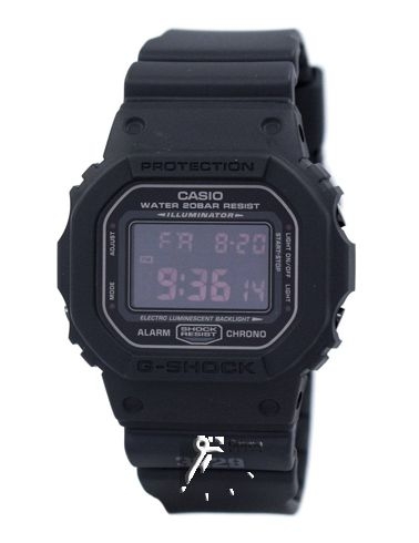 DW-5600MS-1D
